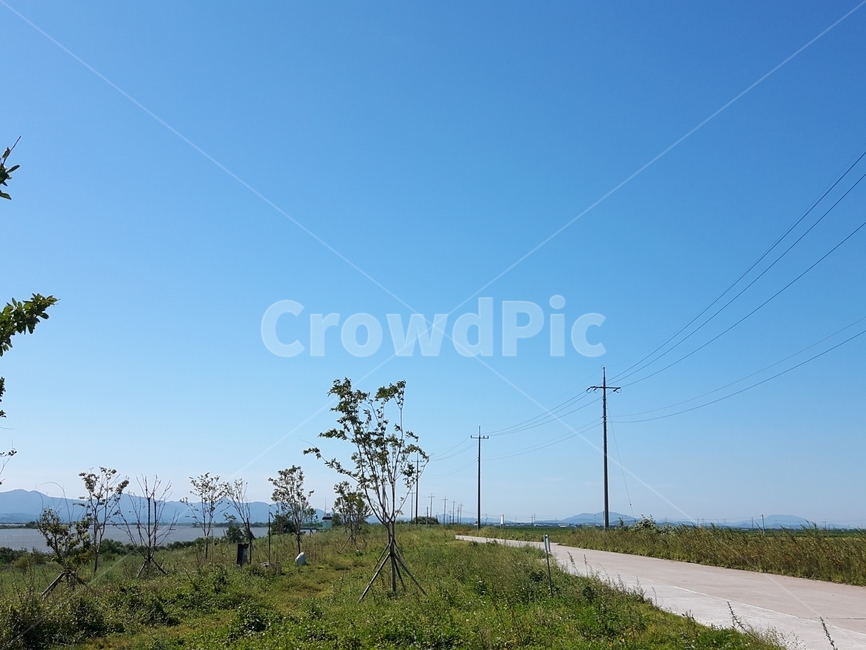 삽교천,풍경,하늘,맑음,파란색,나무,초록색,tree,green,blue,sky,한적함,자연,풍경,nature,landscape