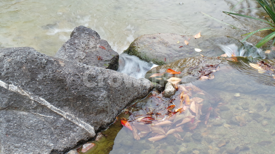 낙엽,시냇가,소용돌이,물가,자연,water,물,청량,나뭇잎,잎,돌,바위,자연배경,가을,계절,fall,autumn,season