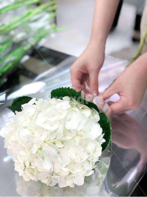 꽃,사랑,꽃꽂이,수국,데이트,선물,결혼,깨끗한,여자친구,손,감성,꽃,flower