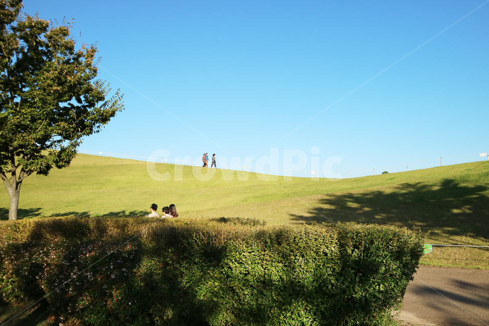 공원,정원,언덕,산,나무,풀,잔디,하늘,grassland,목초지,사람,person,옥외,outdoors,field,human,인간,nature,자연,자연,풍경,nature,landscape,들
