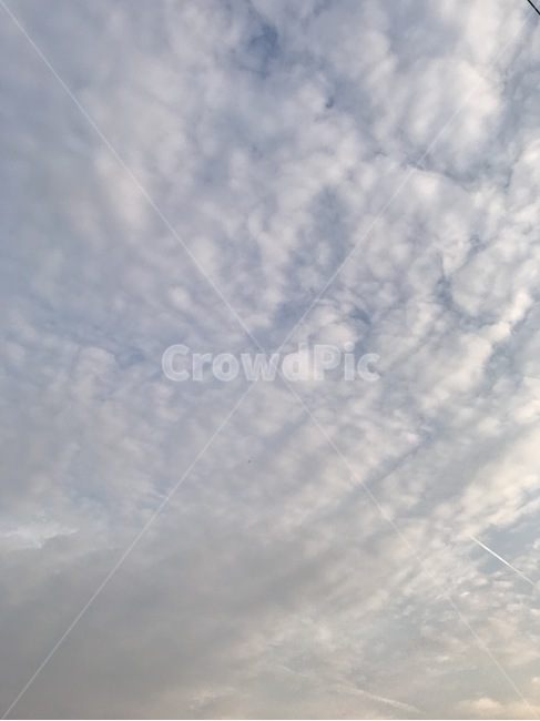 구름,양떼구름,하늘,비행기선,구름가득,자연,풍경,nature,landscape