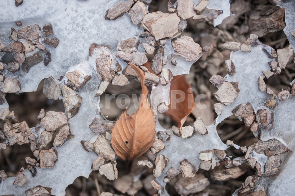 겨울,얼음,풍경,winter,ice,겨울,계절,winter,season
