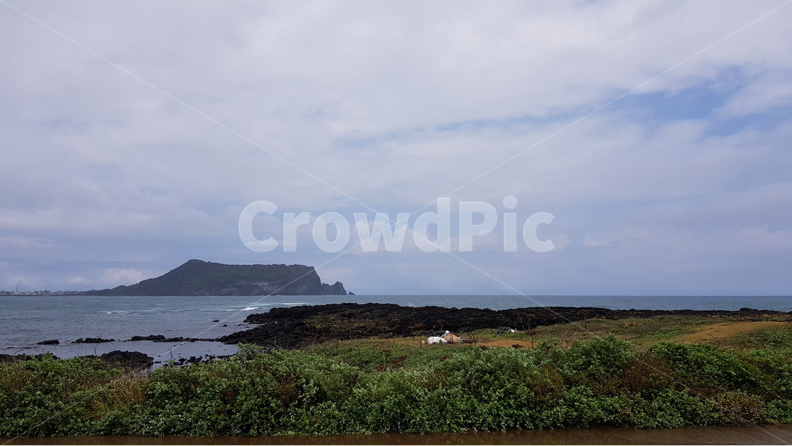 제주도,제주,해변,풍경,경치,자연,풍경,nature,landscape,제주도,jeju,jeju island,outdoors,옥외,land,땅,water,물,shoreline,해안선,ocean,대양,sea,바다,coast,연안