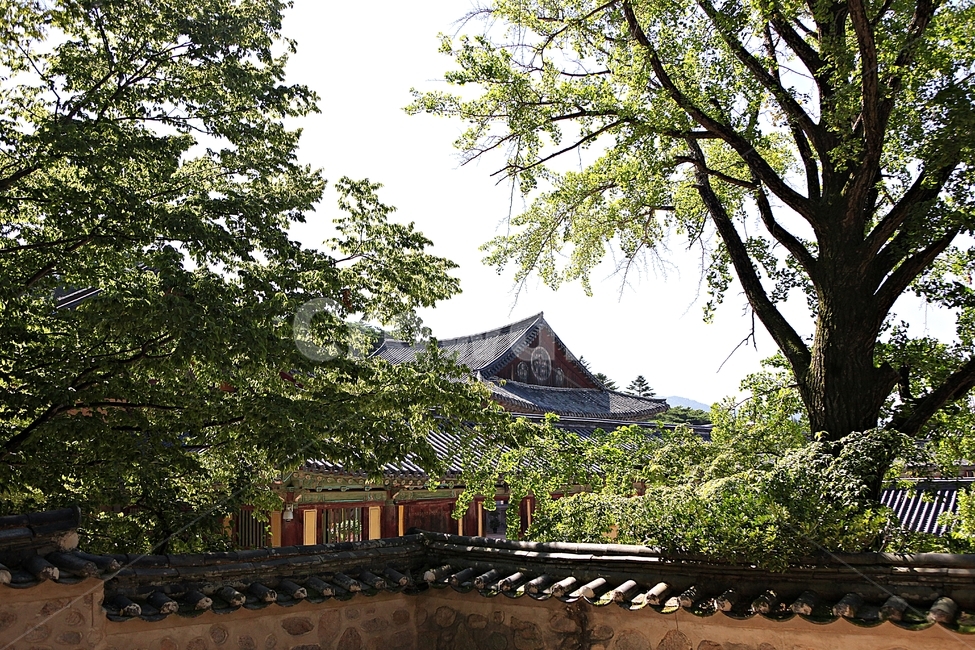 경주,불국사,절,사찰,국보,보물,전통,기와집,여름,집,한옥