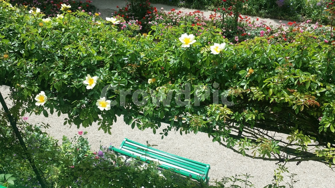 벤치,덩쿨,지베르니,모네,정원,france,giverny,monet,house,garden,flower,꽃,명소,sight,spot,생가,집,nature,자연,프랑스,bine