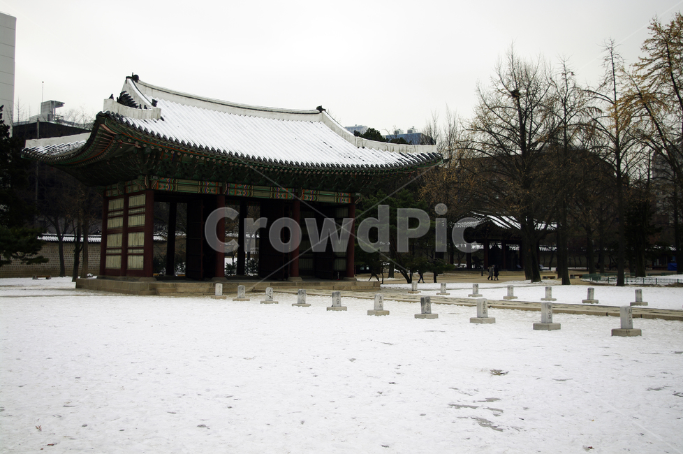 덕수궁,고궁,건축,전통건축,traditional,전통,기와지붕,겨울,winter,풍경,설경,눈,겨울,계절,winter,season,한국전통,한국문화,korean traditional,korean culture,랜드마크,landmark,tourist attraction,한국랜드마크,한국관광지,한국명소,korea landmark,korea tourist attraction