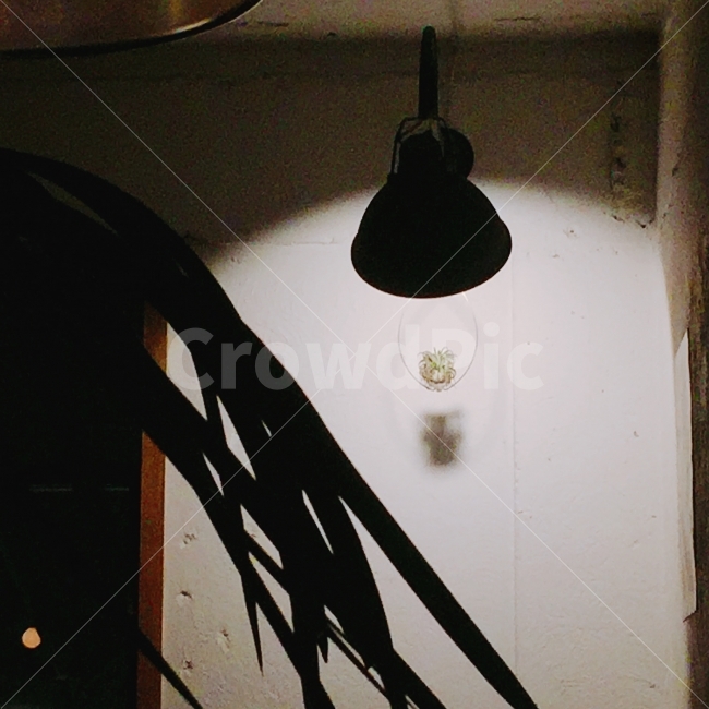 조명,불빛,은은함,배경,어두움,어두운배경,아늑함,빈티지사진,빈티지느낌,빈티지감성,vintage,인테리어,실내디자인,interior design