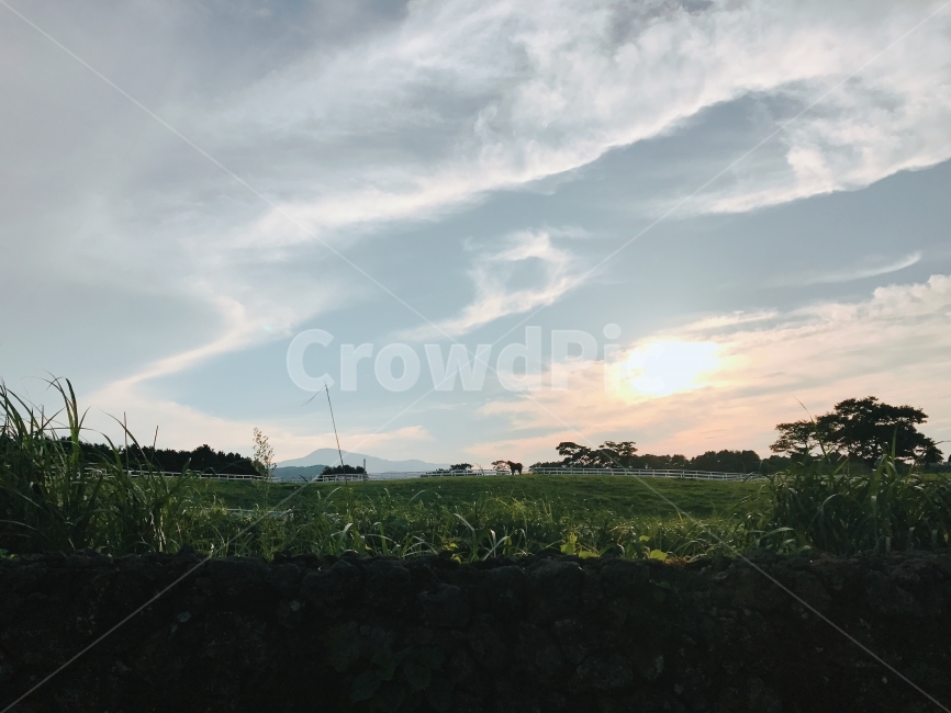 제주도,초원,Jejudo,grassland,하늘,sky,자연,풍경,nature,landscape