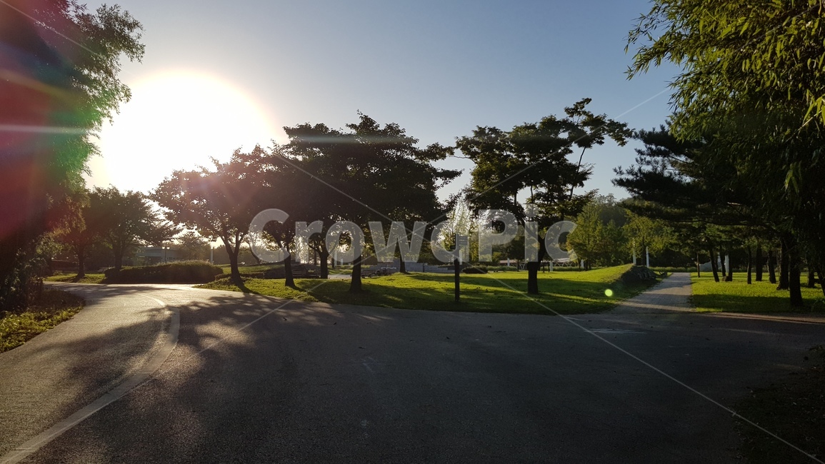 아스팔트,asphalt,햇빛,산책로,light,플레어,자연,풍경,nature,landscape,flare,빛