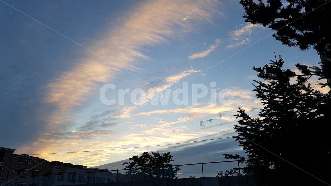 하늘,sky,구름,노을,석양