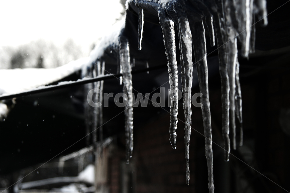 고드름,집,겨울,한파,추위,처마,겨울,계절,winter,season