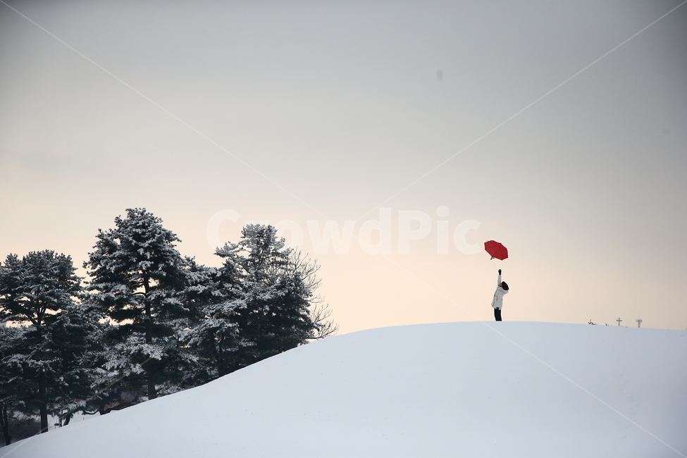 나무,자연,식물,outdoors,nature,겨울,계절,winter,season,자연,풍경,nature,landscape