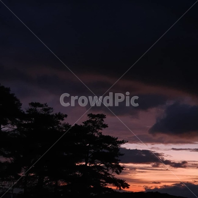 nature,outdoors,자연,옥외,구름,나무,자연,풍경,nature,landscape,silhouette,실루엣