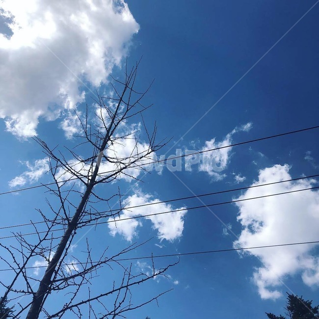 하늘,맑은날씨,구름,파란하늘,맑음,평화로움,cloud,sky,sunnyday