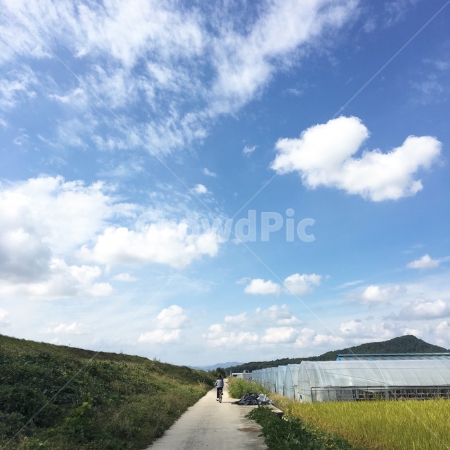 논,밭,시골,하늘,풍경,자연,자전거,비닐하우스,농사,농촌,구름,자연,풍경,nature,landscape,시골,마을,country,rural,town,산업,industry,industrial,농업,농사,agriculture,farming,farming industry,outdoors,옥외