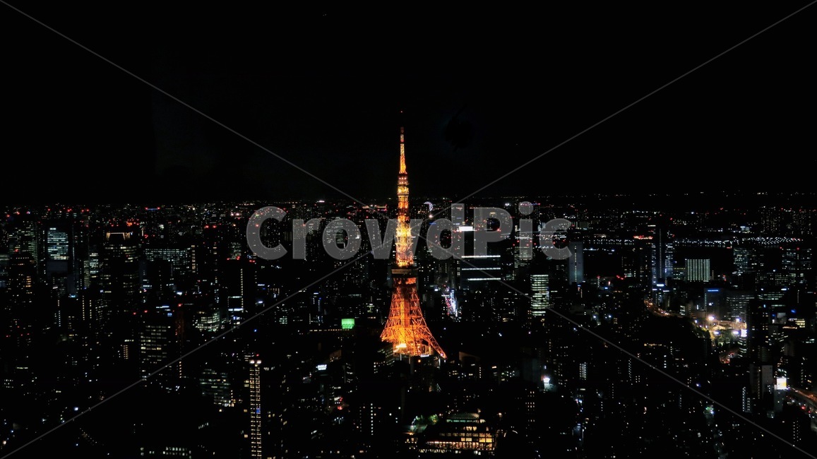 도쿄,타워,야경,전망,도시,야경,밤,풍경,nightscape,night,landscape,도시,city,랜드마크,landmark,tourist attraction,해외,외국,세계,foreign,oversea,world,세계도시풍경,해외도시풍경,외국도시풍경,world cityscape,세계랜드마크,해외랜드마크,외국랜드마크,world landmark,world tourist attraction,outdoors,옥외,nature,자연,경치,tower,탑,building,건물,steeple,뾰족한 탑,spire,첨탑,architecture,건축물,scenery
