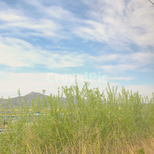 맑음,날씨,하늘,구름,풀,봄,spring,감성사진,자연,풍경,nature,landscape,한국자연풍경,한국자연경관,korea nature landscape,plant,식물,grass,잔디,outdoors,옥외