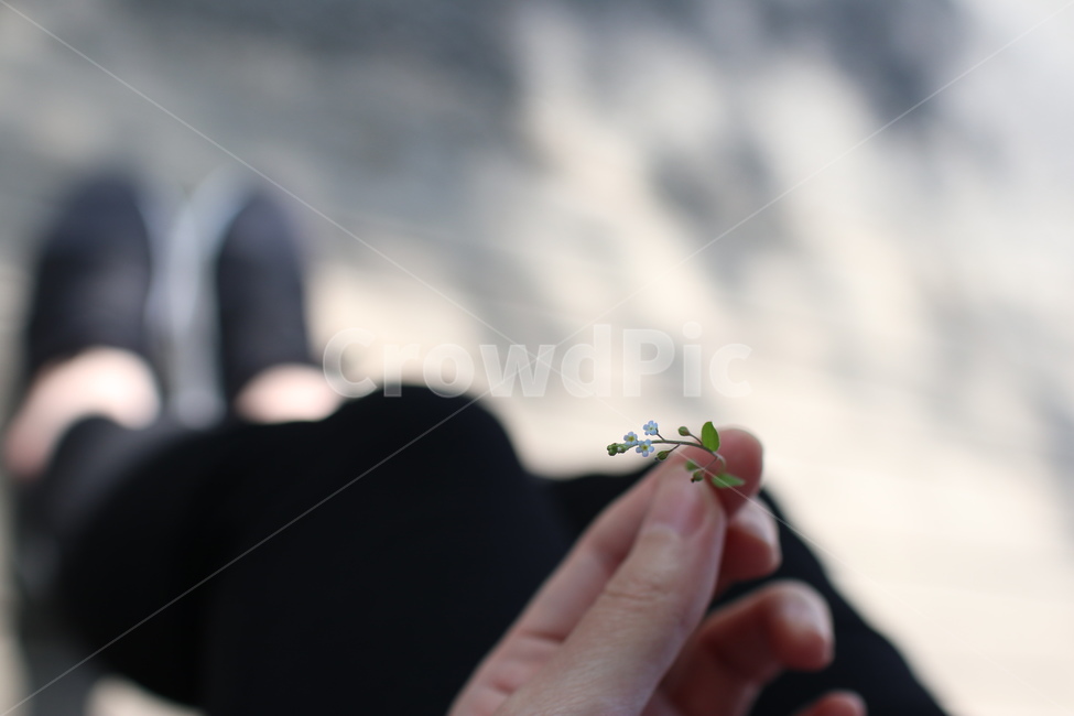 야생화,이름모를,꽃,봄철,봄,식물,자연,plants,nature,사람,인물,인간,human,person,신체일부,몸,body
