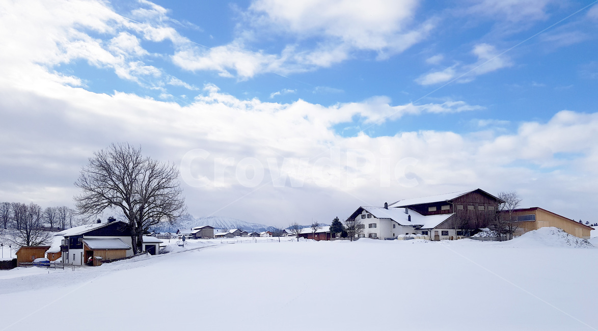 독일,퓌센,겨울,눈,배경,자연,맑음,푸른,하늘,겨울,계절,winter,season