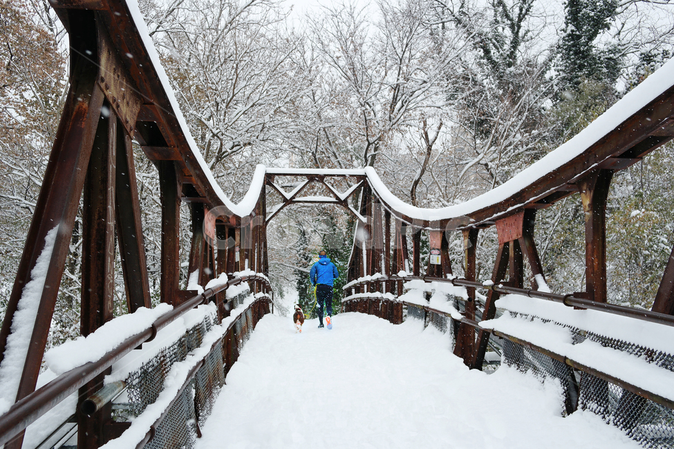 눈,눈길,조깅,다리,공원,눈내리는날,운동,겨울,강아지,겨울,계절,winter,season