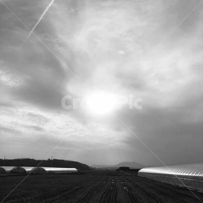흑백,풍경,구름,비닐하우스,흑백풍경,자연,풍경,nature,landscape,흑백,모노톤,monochrome,black and white,outdoors,옥외