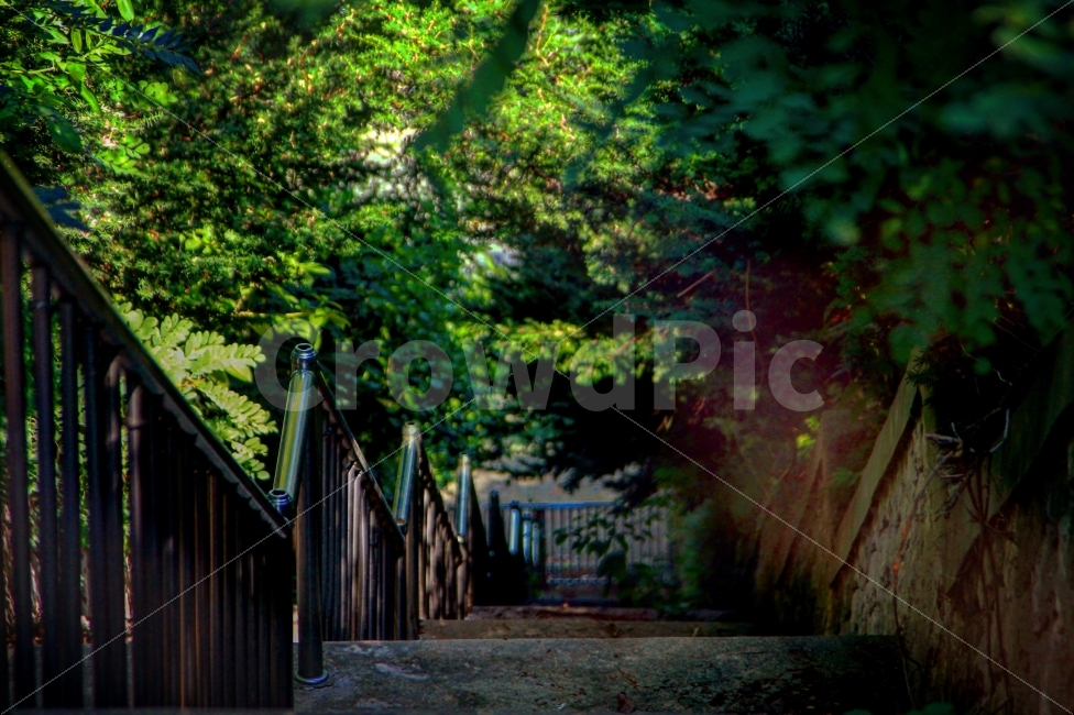 학교,계단,출입금지,위험,초록,자연,풍경,nature,landscape,여름,계절,summer,season,outdoors,옥외