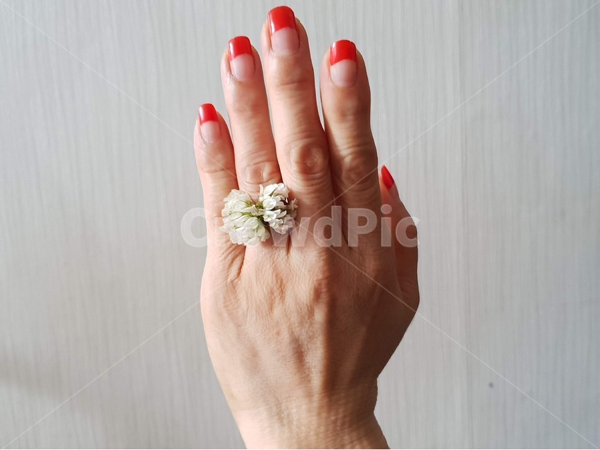 손,여자,신체,사람,꽃반지,약속,감성,네일아트,손톱,여름,꽃,flower,사람,인물,인간,human,person,신체일부,몸,body
