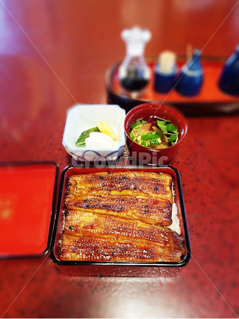 음식,장어,장어구이,식사,장어요리,음식,식재료,요리,food,cook,meal,dishes,food reserves
