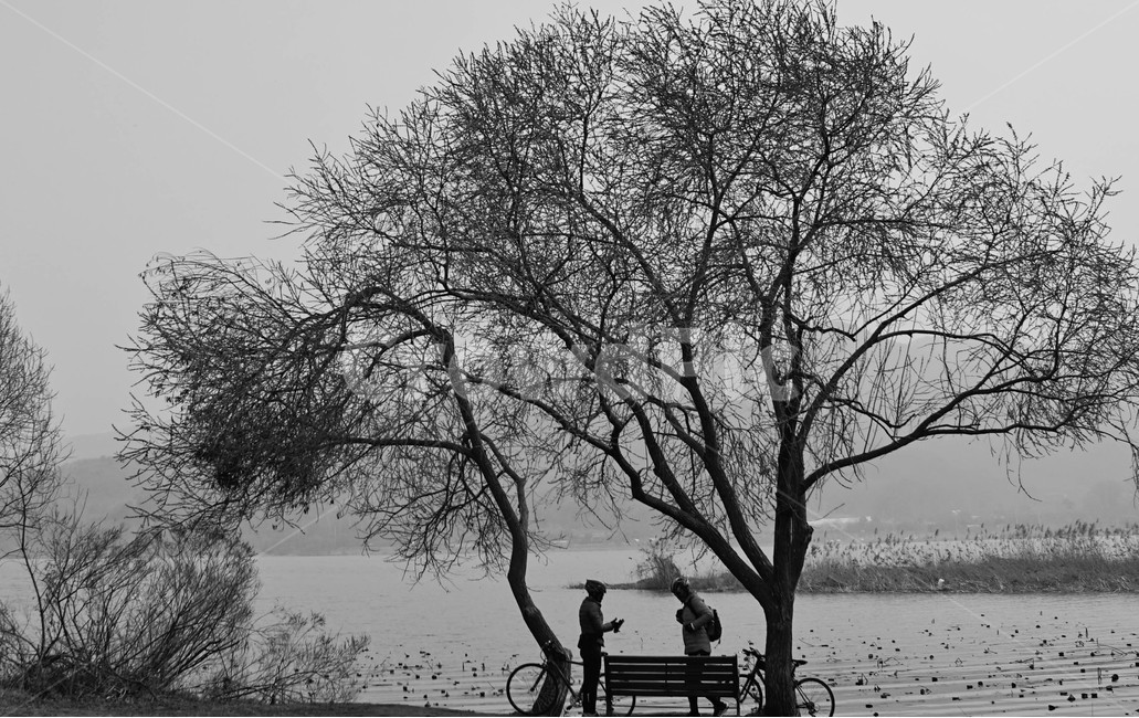 사람,남자,여자,자전거,하이킹,나무,벤치,의자,강,자연,풍경,nature,landscape,사람,인물,인간,human,person,흑백,모노톤,monochrome,black and white