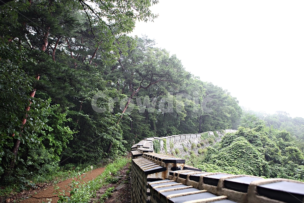 남한산성,성,성곽,길,둘레길,숲,숲길,벽,돌담,담,풍경,여름