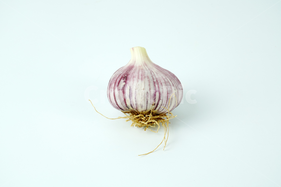 마늘,음식,식품,요리재료,음식재료,식재료,양념,한식,통마늘,재료,농작물,음식,식재료,요리,food,cook,meal,dishes,food reserves