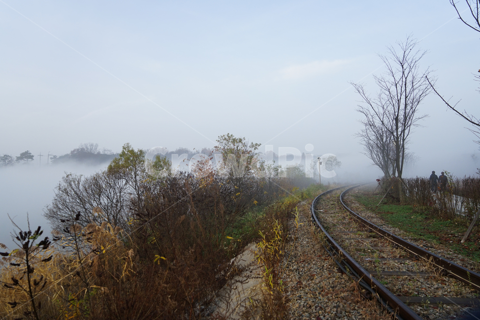 철길,철로,기찻길,안개,나무,가을,새벽,자연,풍경,nature,landscape,transportation,교통,train track,railway,철도,rail,레일