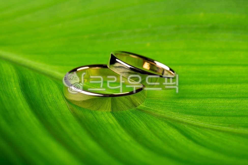반지,금반지,결혼반지,커플링,금,골드,골든,악세사리,기념일,상자,조형물,나뭇잎,빛나는,노란,황금,쌍가락지,광채,화려한,약혼,선물,금빛,주얼리,쥬얼리,귀금속,링,반짝이는,발렌타인,결혼,웨딩,혼수,패물,장신구,정물,프로포즈