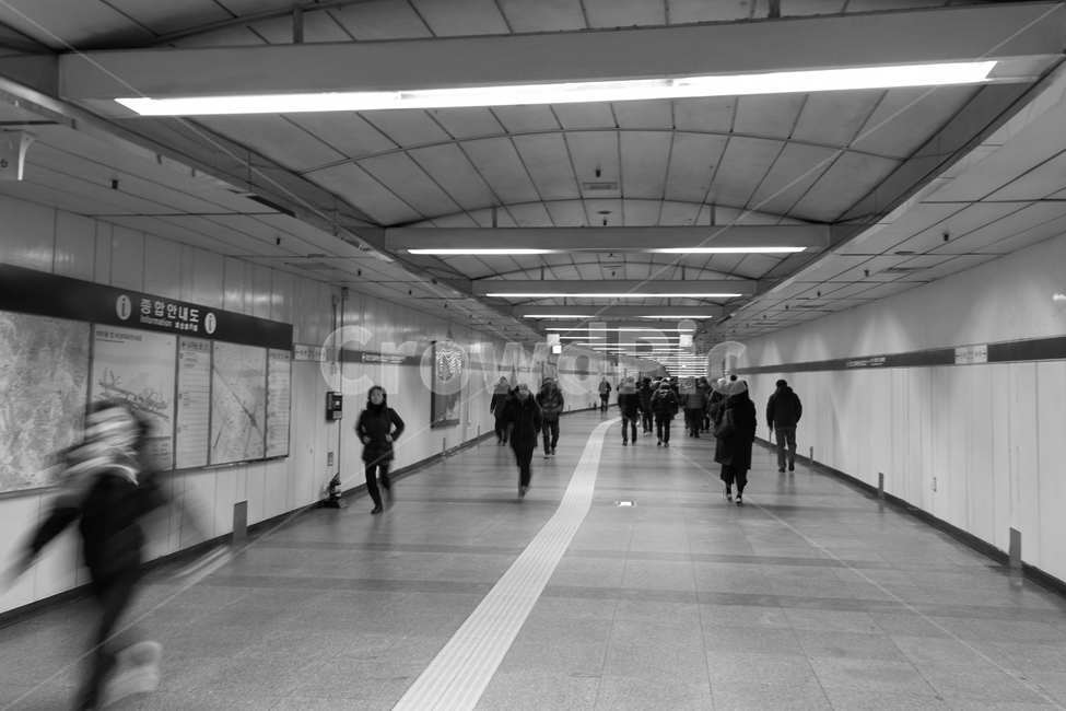 출근길,첫차,현대인,바쁨,삶,고단함,busy,지하철,환승,새벽,도심,life,노동자,노동,출근,새벽첫차,사람들,대중,군중,other people,crowd,흑백,모노톤,monochrome,black and white