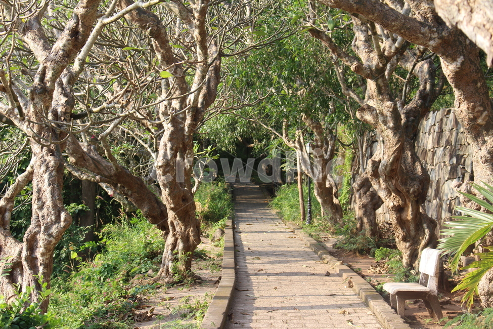 outdoors,옥외,정원,garden,arbour,산책로