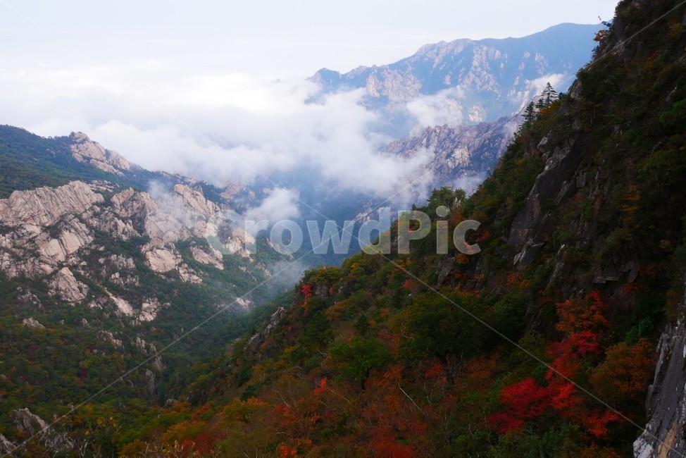 설악산,가을,단풍,운해,국립공원,가을,계절,fall,autumn,season,자연,풍경,nature,landscape,한국자연풍경,한국자연경관,korea nature landscape,outdoors,옥외,mountain,산,mountain range,산맥,slope,경사