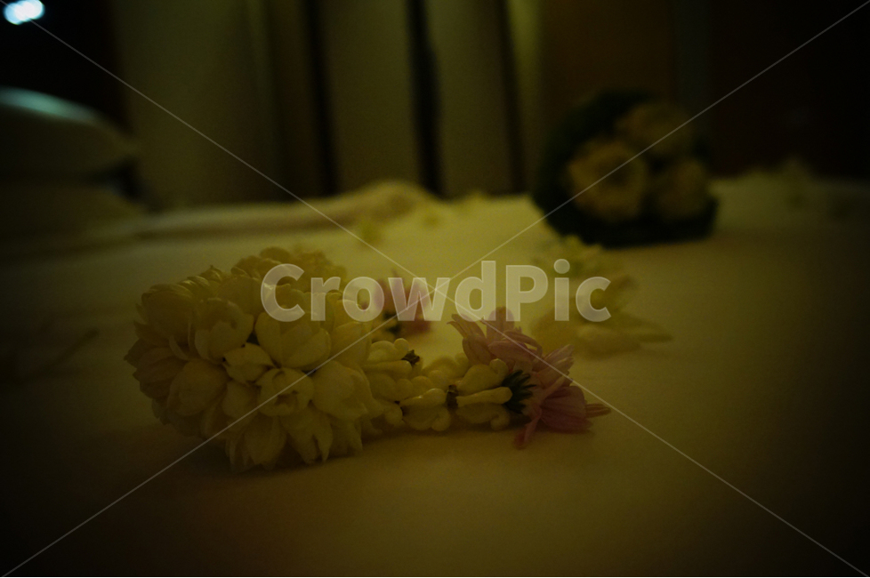 침대,꽃,조명,에로틱,침대와꽃,꽃,flower,기념일,축하,anniversary,congratulation,celebrate,celebration