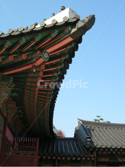 경복궁,단청,고궁,기와,전통,궁,궁궐,처마,korea,koreatraditional,seoul,서울,한국,한국전통,한국문화,korean traditional,korean culture,건축물,건물외관,exterior,building,structure,architecture,construction