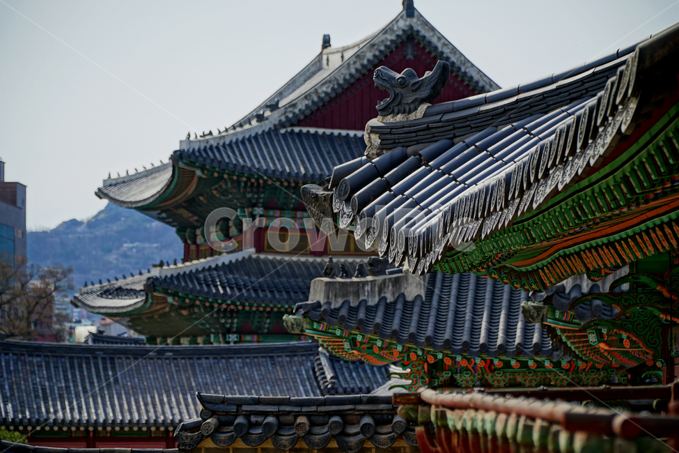 창덕궁,한국,korea,대한민국,서울,seoul,고궁,궁전,궁궐,조선,조선시대,조선왕조,왕궁,한옥,한국적인,한국문화,문화,한국전통,전통,문화재,전통문화,지붕,처마,담청,풍경,landscape,자연,nature,봄,봄꽃,spring,4월,april,기와,왕실,palace,changdeokgung,한국자연,한국풍경,역사,히스토리,history,한국전통,한국문화,korean traditional,korean culture,건축물,건물외관,exterior,building,structure,architecture,construction