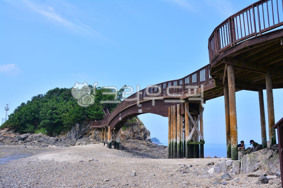 forest,Dullegil,deck,coastal walkway,Observatory,trail,healing,Beach,Handrail,sky,handrail,nature,Daebu Haesolgil,Daebudo,outdoor,ocean,outdoors,Ansan,background,west coast