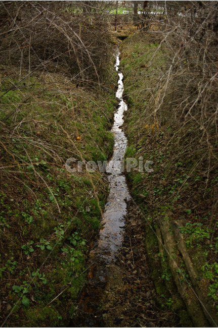식물,냇가,숲,냇물,잡초,자연,풍경,nature,landscape,ditch,도랑,ground,바닥