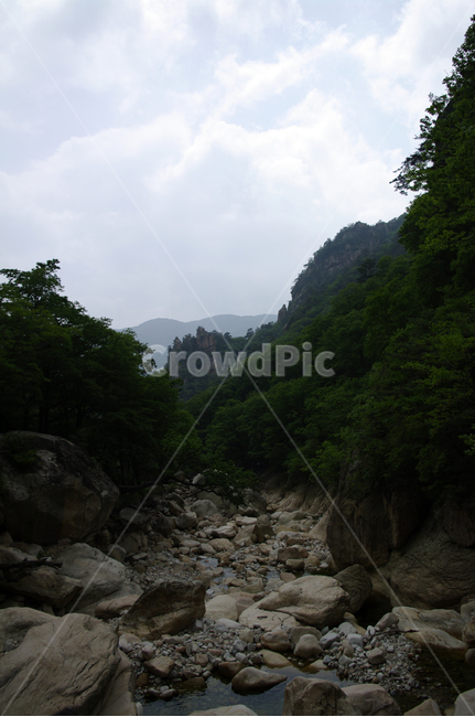 산,계곡,바위,암석,풍경,나무,설악산,자연,풍경,nature,landscape,outdoors,옥외