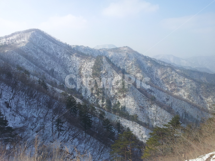 태백산,겨울산,눈,산,나무,겨울,계절,winter,season