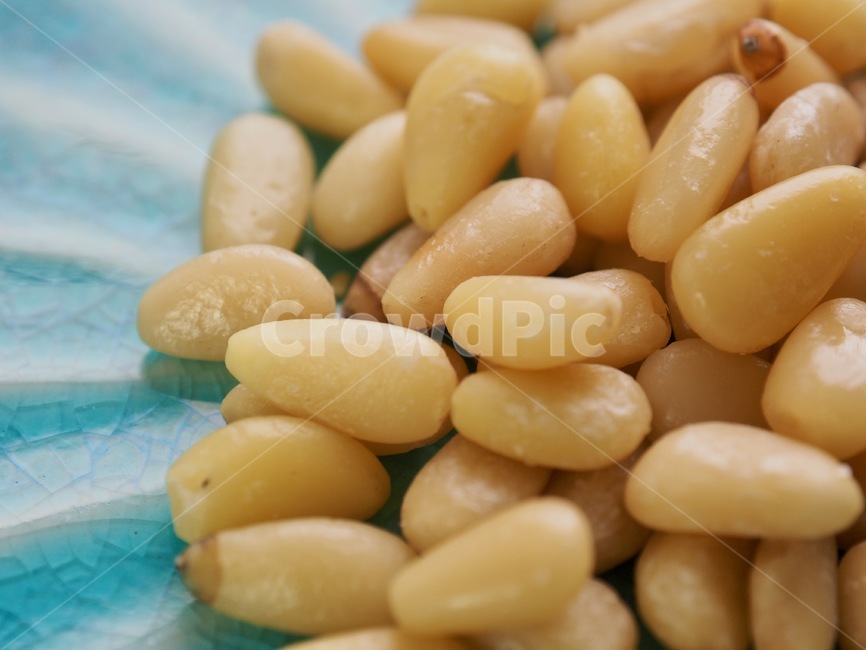 잣,견과류,그릇,소나무견과류,노란색,간식,콩류,견과류,beans,pulse,nuts,dry fruits