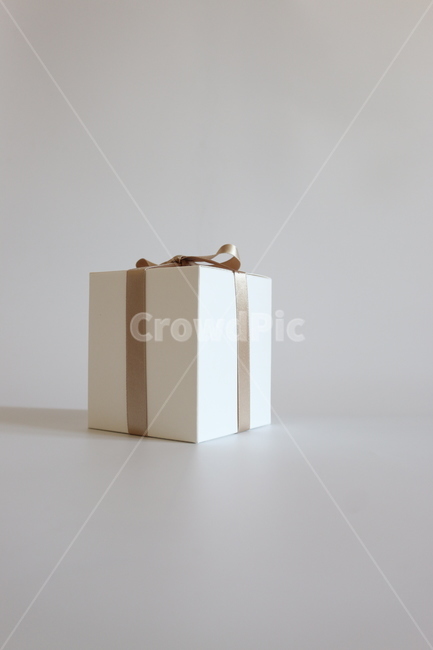 선물,박스,리본,선물박스,화이트,골드,포장,상자,box