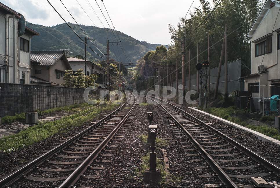 기찻길,선로,철로,자연,풍경,해외,외국,세계,foreign,oversea,world,교통,교통수단,traffic,transportation