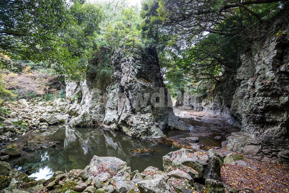 안덕계곡,계곡,제주도,풍경,landscape,자연,풍경,nature,landscape,한국자연풍경,한국자연경관,korea nature landscape,water,물,outdoors,옥외,creek,작은 만,stream,흐름