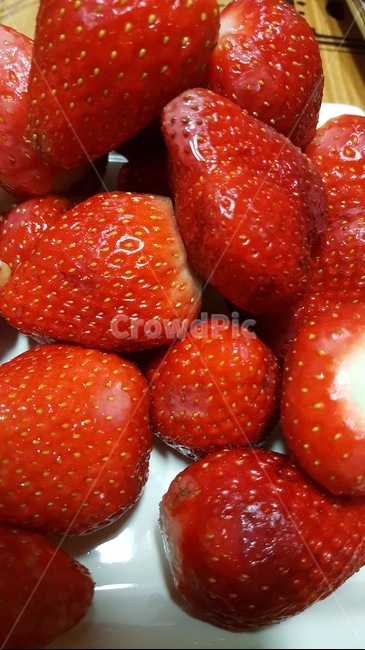 딸기,과일,싱싱,음식,식재료,스트로베리,과일,열매,fruit