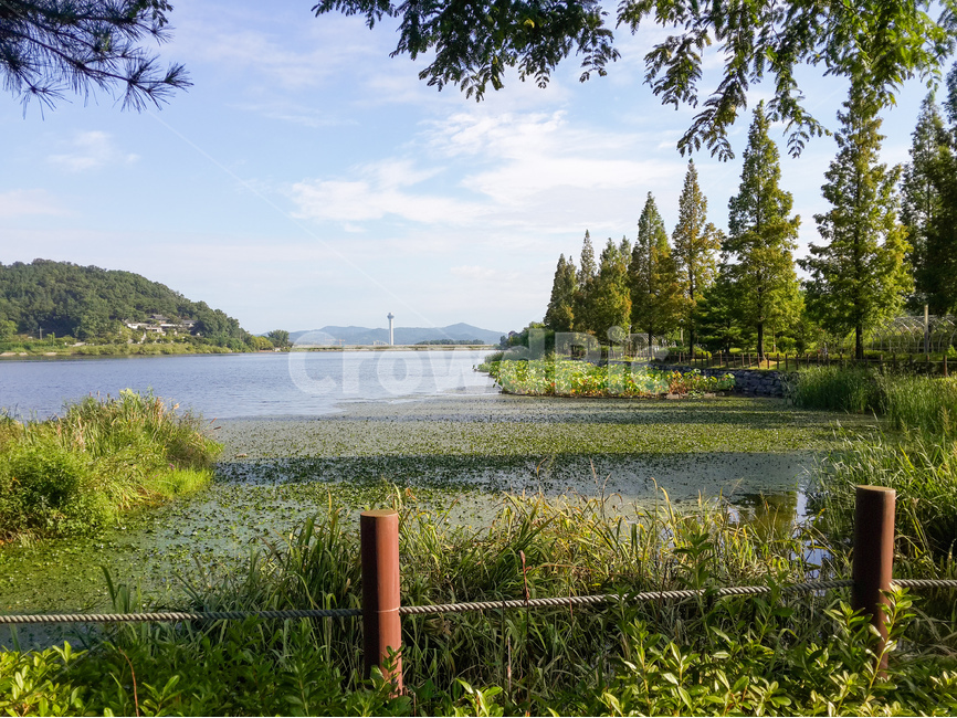 신정호수,저수지,풍경,봄,초록,메타세콰이어나무,자연,풍경,nature,landscape,한국자연풍경,한국자연경관,korea nature landscape,water,물,outdoors,옥외,land,땅,tree,나무,plant,식물