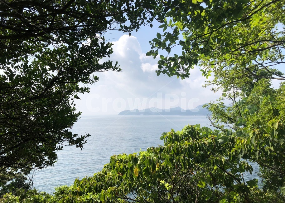 바다,나뭇잎,구름,지평선,푸른바다,sea,tree,leaf,cloud,시원,블루,파란,낮하늘,nature,자연,풍경,nature,landscape,outdoors,옥외,land,땅,shoreline,해안선,water,물,ocean,대양,vegetation,초목,plant,식물